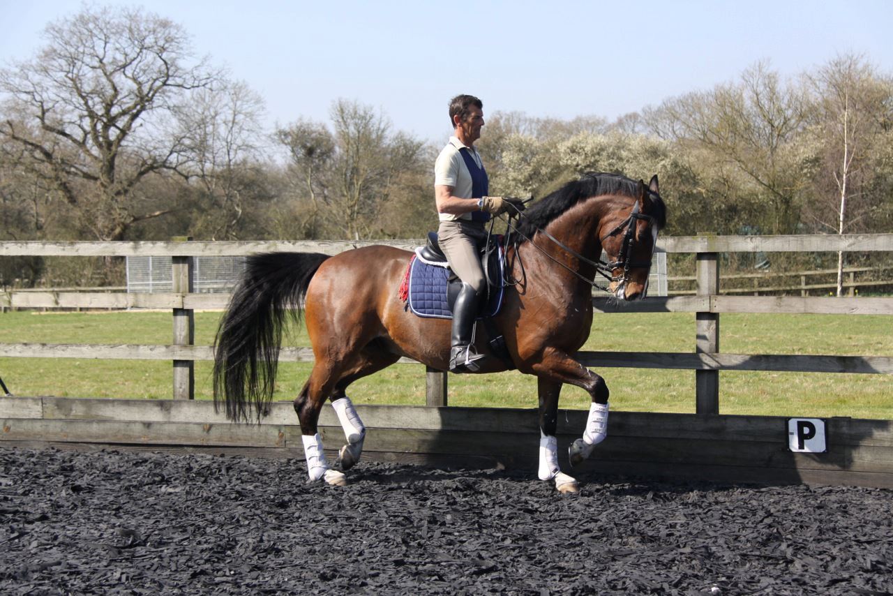 Richard White Dressage